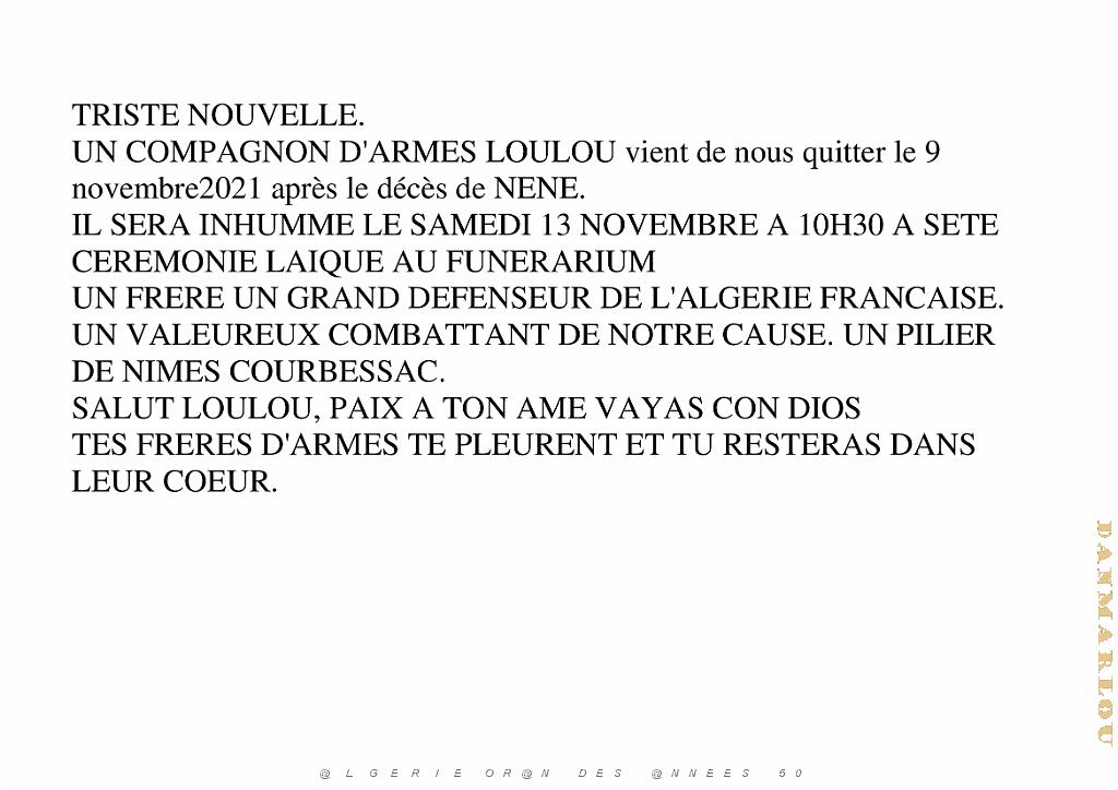 LOULOU NOTRE COMPAGNON D ARMES (0).jpg